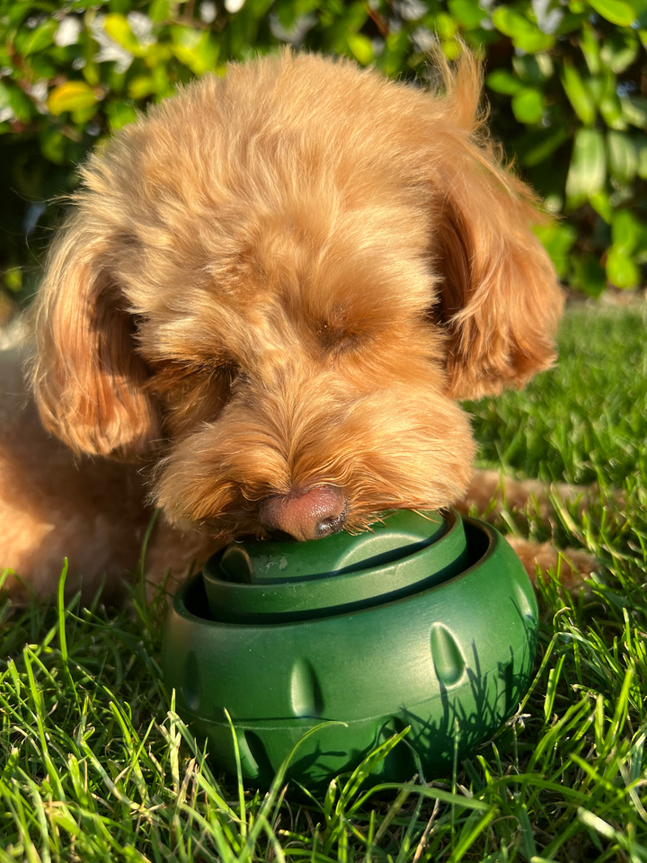 Treat-Licking Ball for Dogs | Durable, Reusable, Summer Fun | Stornfield