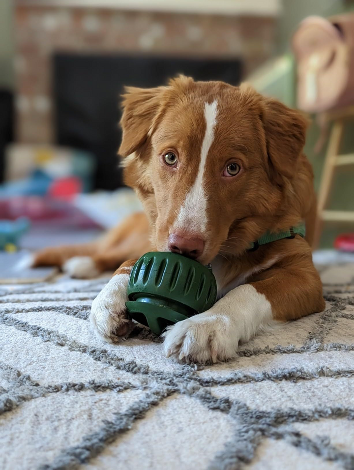 Treat-Licking Ball for Dogs | Durable, Reusable, Summer Fun | Stornfield