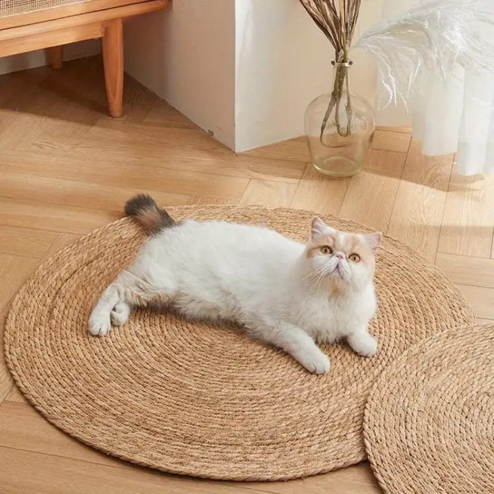 Scratching mat for cats | Stornfield