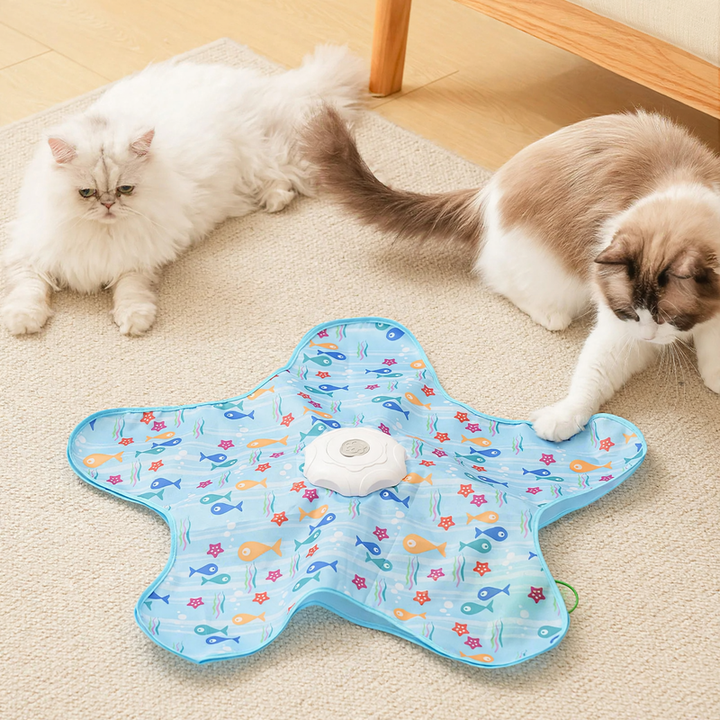 Electric cat toy with rotating disc