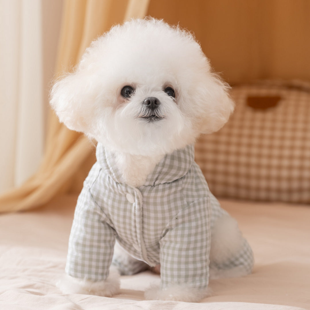 Dog jacket with four legs, cotton, padded