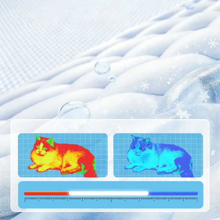 Cooling pet bed with backrest
