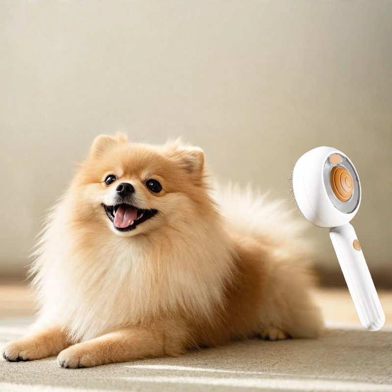 Spray brush for cats and dogs with spray function
