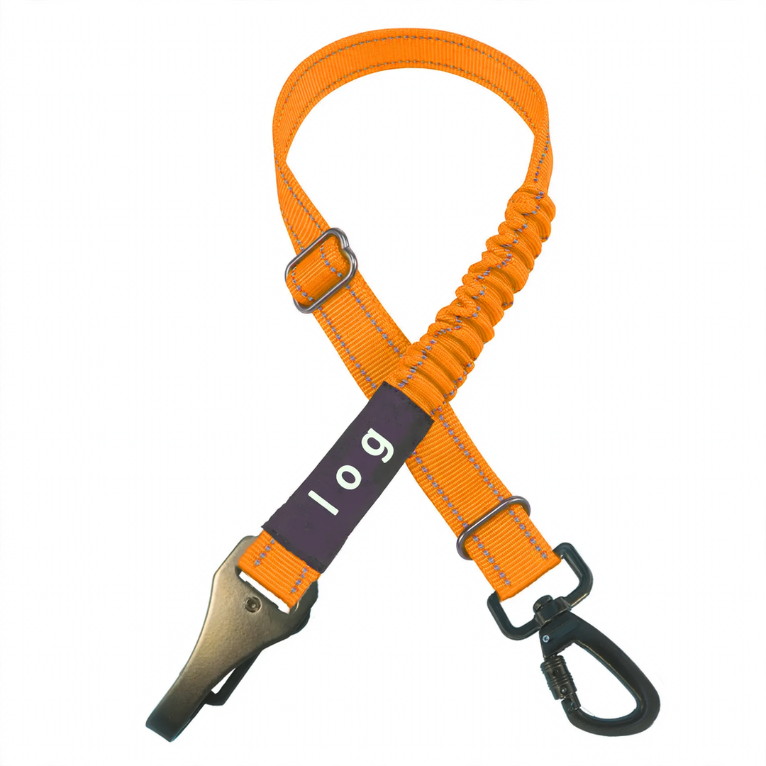 Nylon dog seat belt