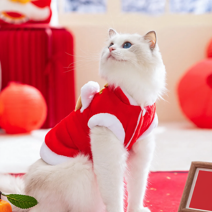 Warm vest for cats and small dogs