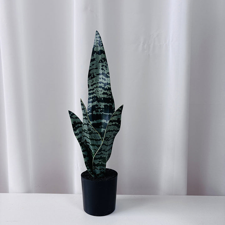 Artificial plant Sansevieria, 50 cm, PE