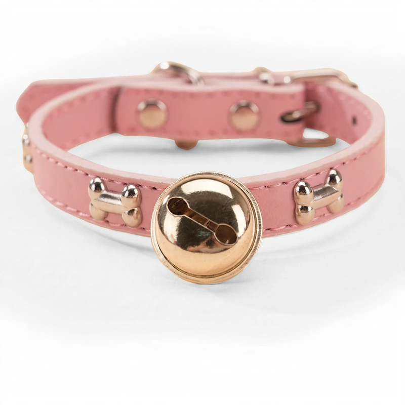 Collar for medium and large dogs with leash attachment