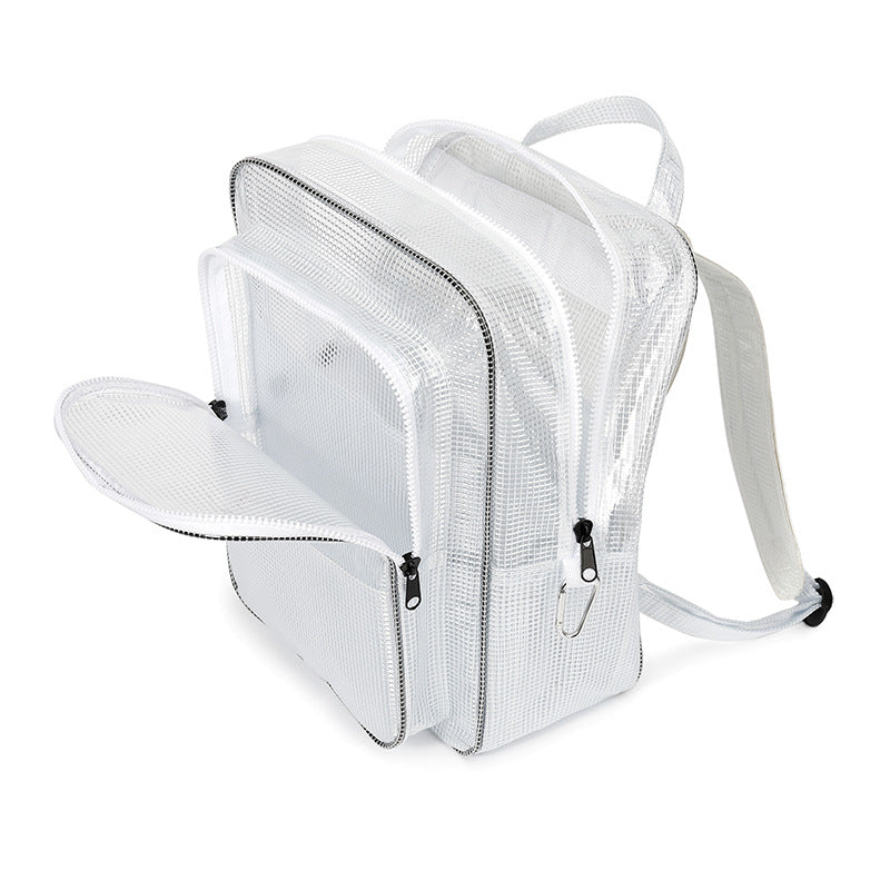 Antistatic PVC backpack, transparent