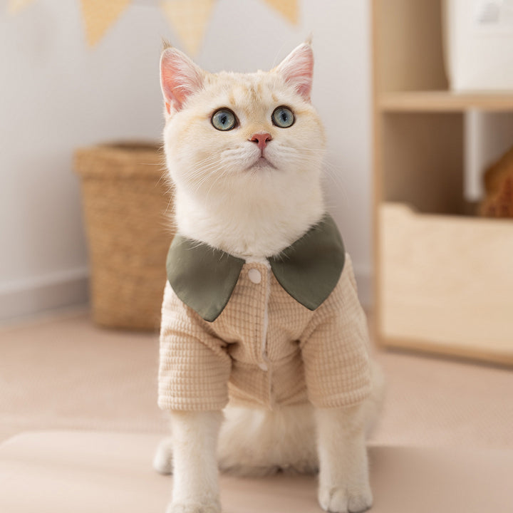 Dog winter jacket, cord, shawl collar, two legs