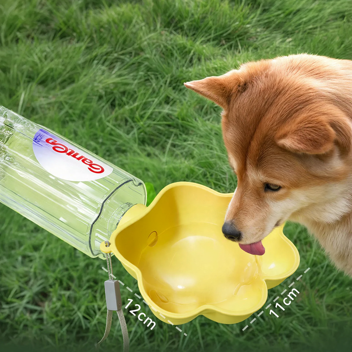 Pet water bottle attachment
