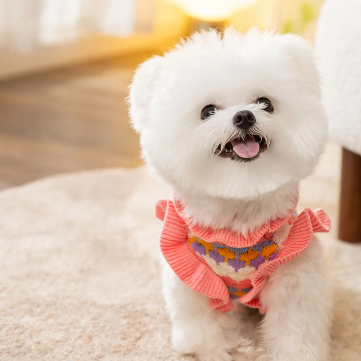 Pet Knit Sweater with Floral Pattern
