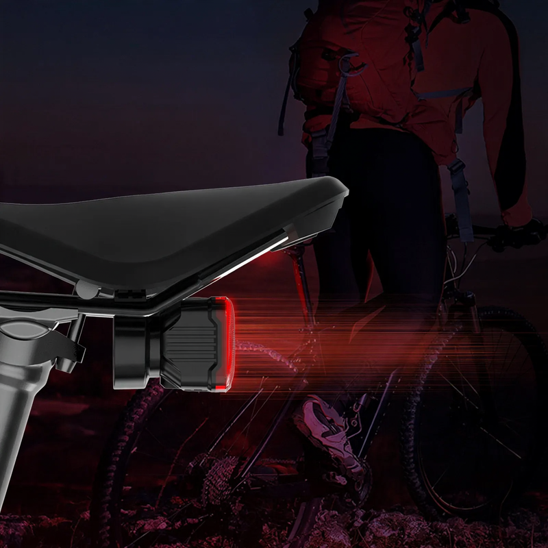 Bicycle tail light with brake indicator