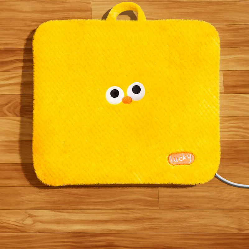 Heated pet mat with cover
