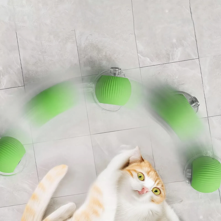 Interactive cat toy with tail