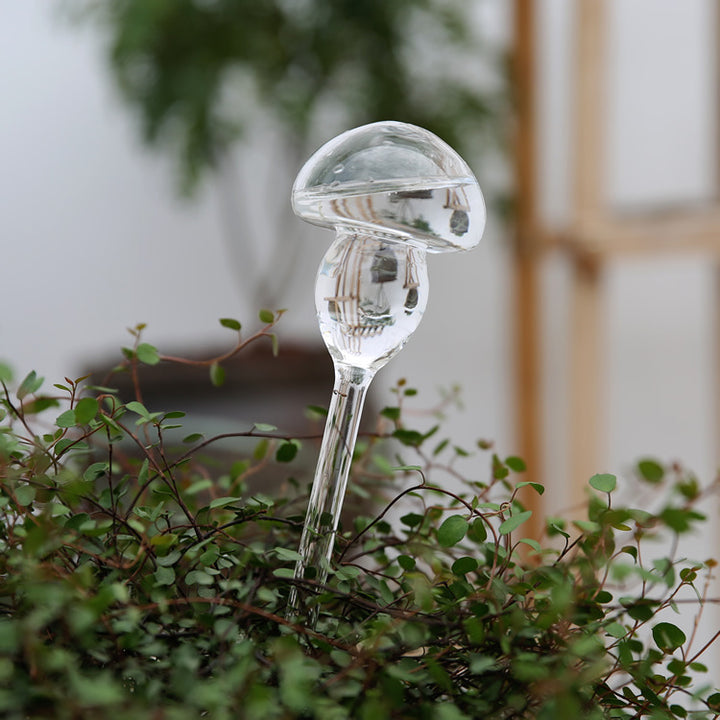 Glass drinkers for plants, various shapes