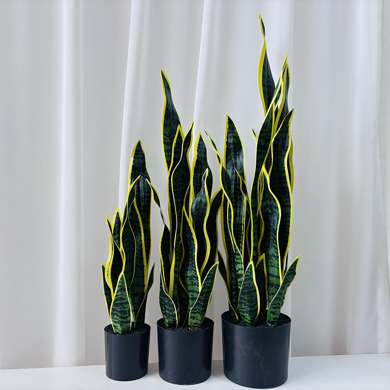 Artificial plant Sansevieria, 50 cm, PE