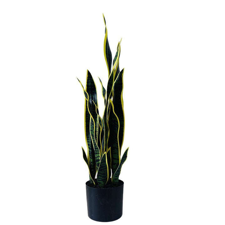Artificial plant Sansevieria, 50 cm, PE