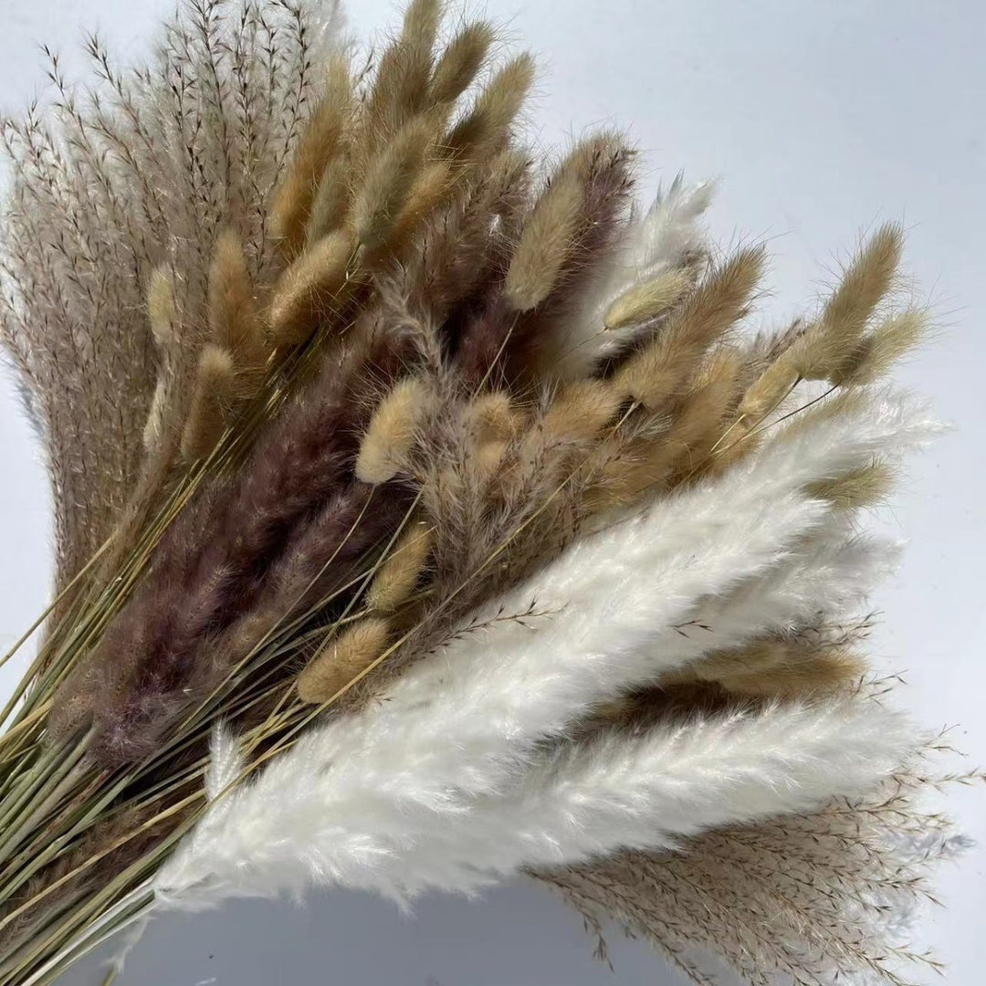 Dried flower bouquet, pampas and natural materials