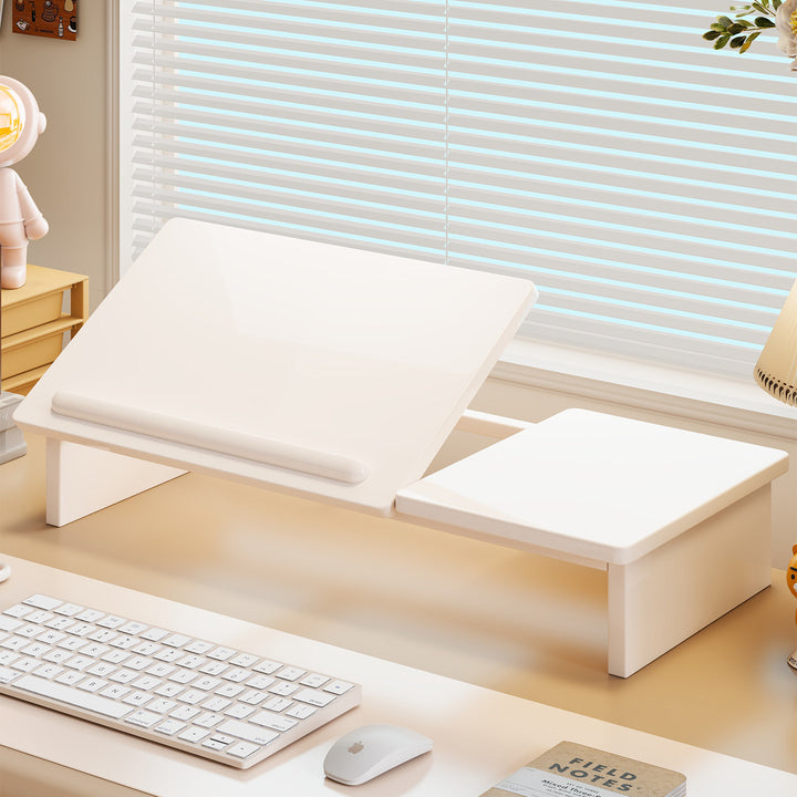 Wood Laptop Stand with Desk Organizer