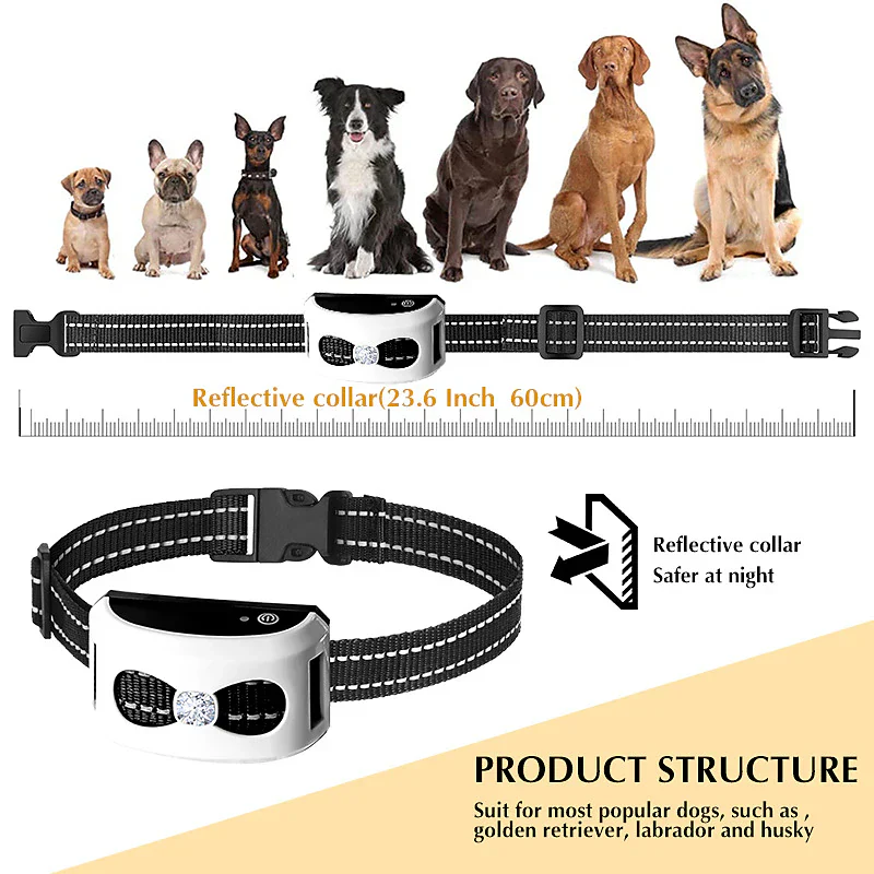 Stornfield | 2-in-1 Wireless Dog Fence & Outdoor Training Collar