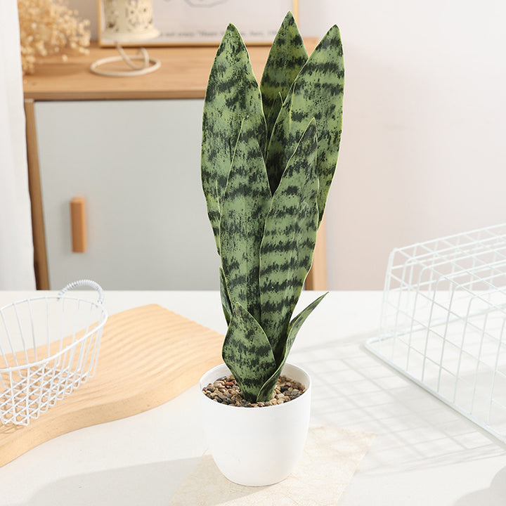Artificial plant Sansevieria, 50 cm, PE