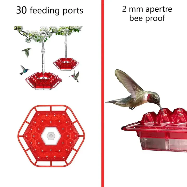 Stornfield | Ant Proof Hummingbird Feeder, Outdoor Hanging Perch