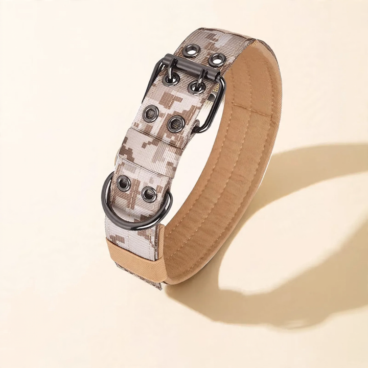 Nylon collar for medium and large dogs