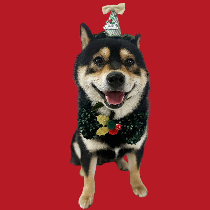 Christmas decorations for cats and dogs