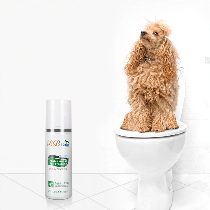 Training Spray for Pets, 160 ml