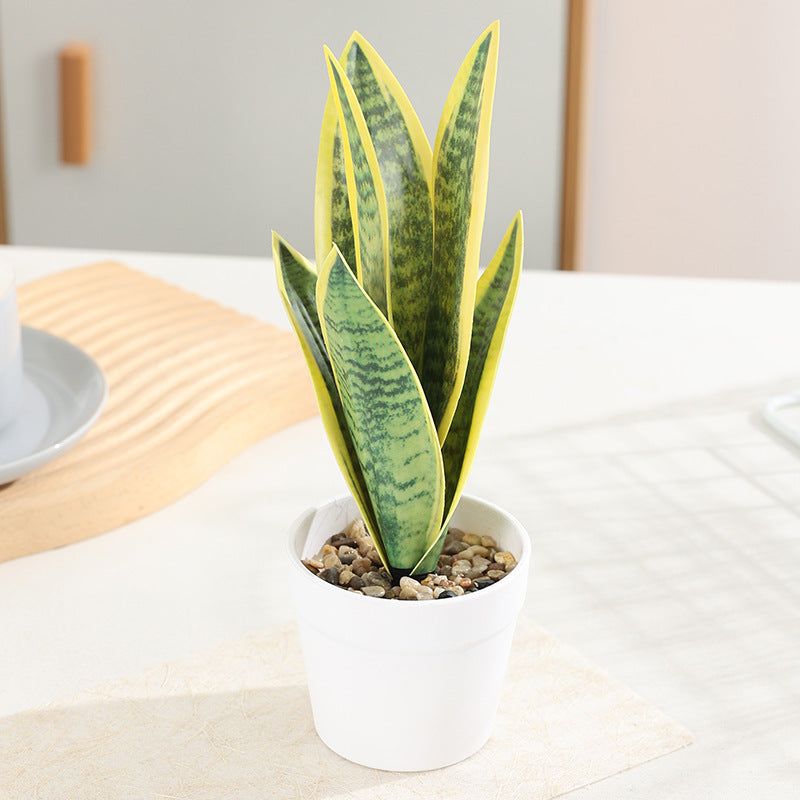 Artificial plant Sansevieria, 50 cm, PE