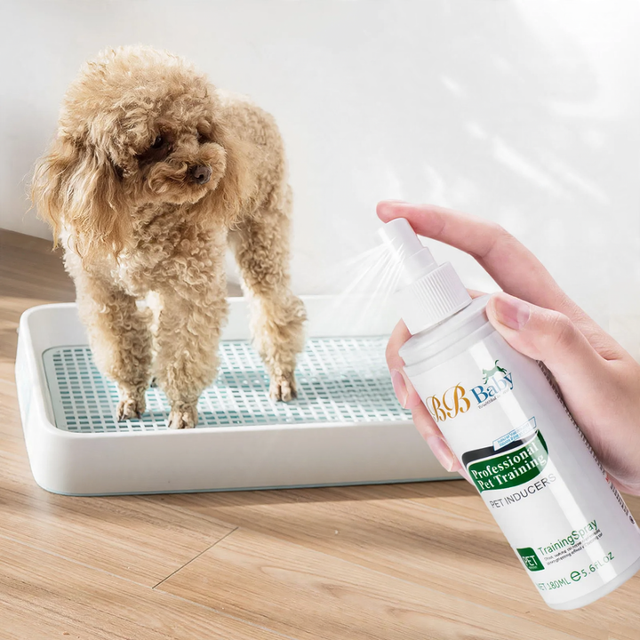 Training Spray for Pets, 160 ml
