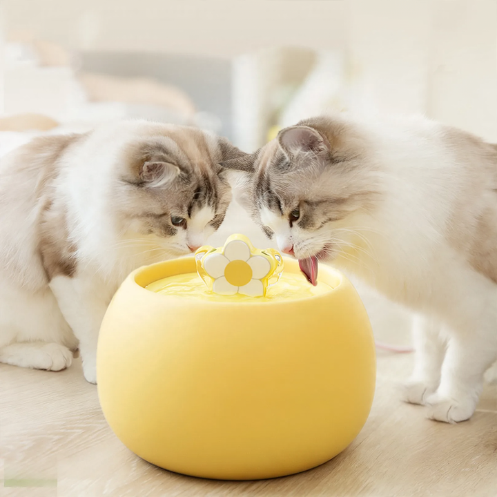 Automatic ceramic drinking bowl for cats and dogs