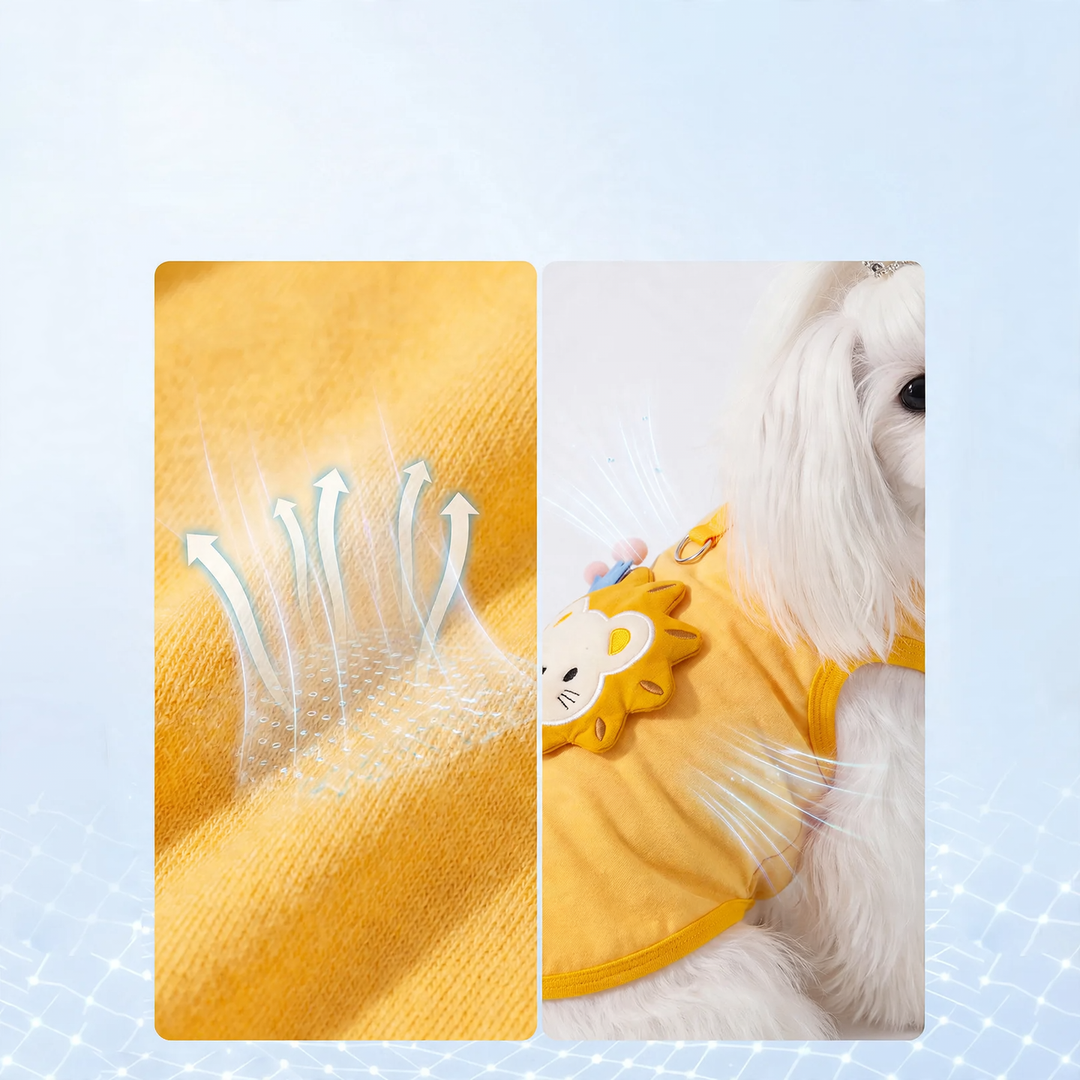 Summer Dog Shirt with Leash, Cartoon Design