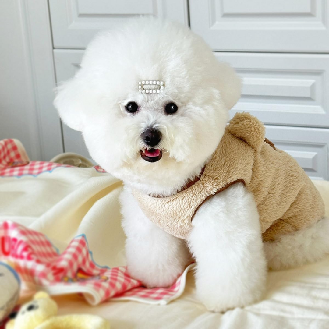 Wintry warm pet sweater | Stornfield