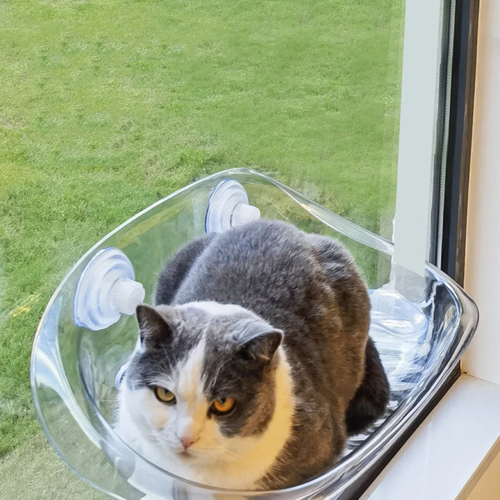 Cat-Safe-Hammock | The ultimate comfort for your cat | Stornfield