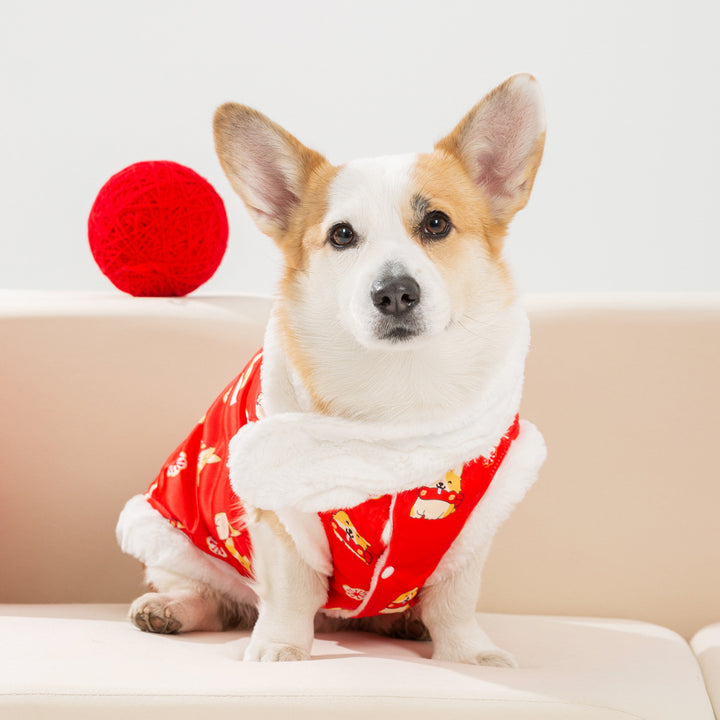 Chinese holiday vest for dogs, silk