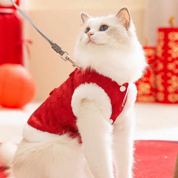 Chinese Vest for Cats, Winter Style