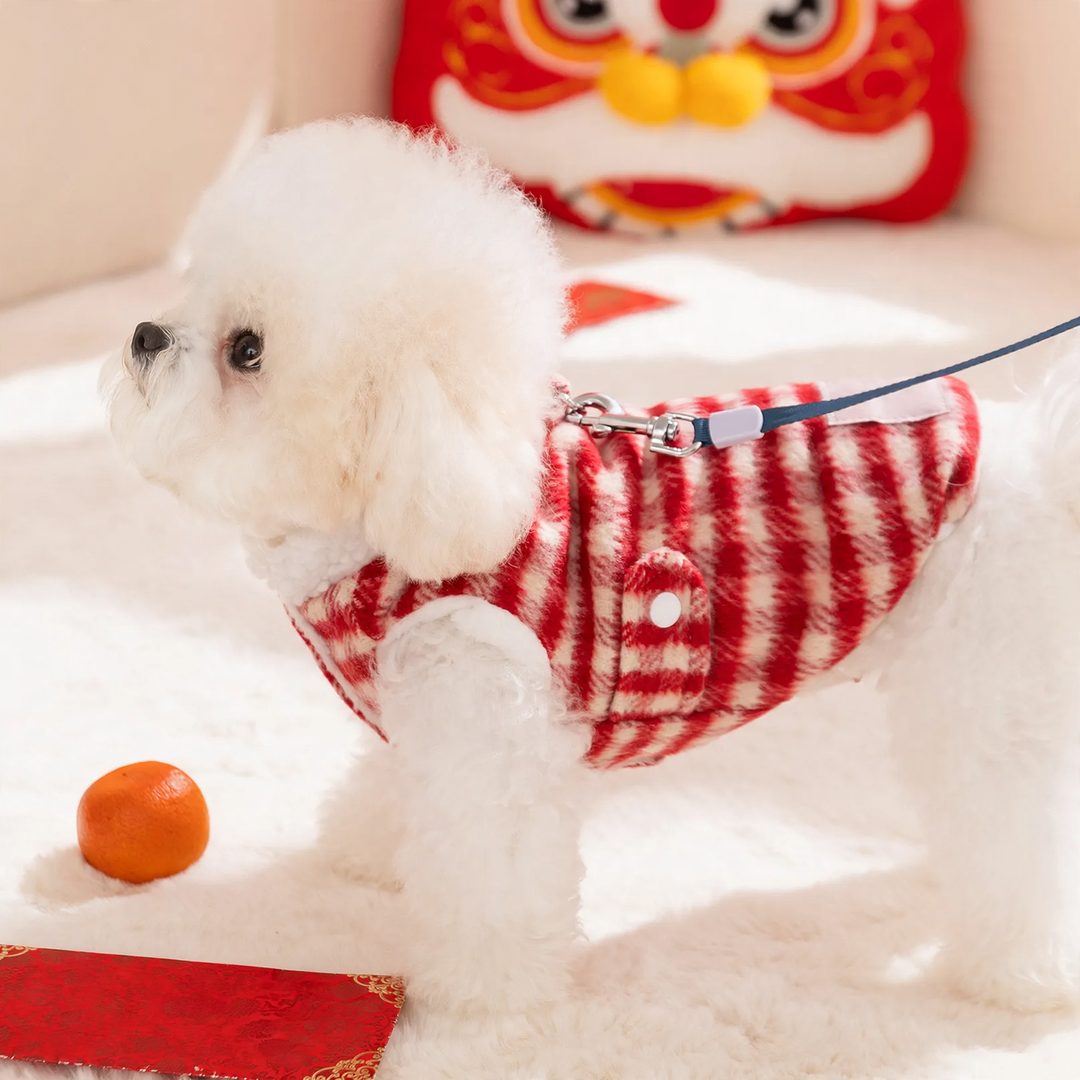 Padded pet vest with harness