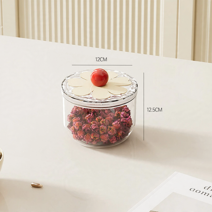 Plastic storage container with lid, transparent