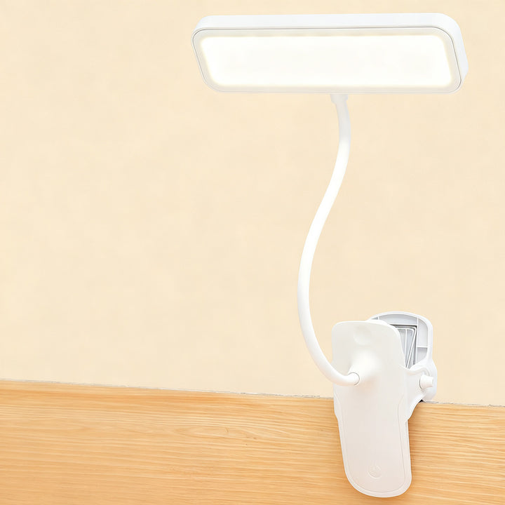 LED clip light with eye protection for learning