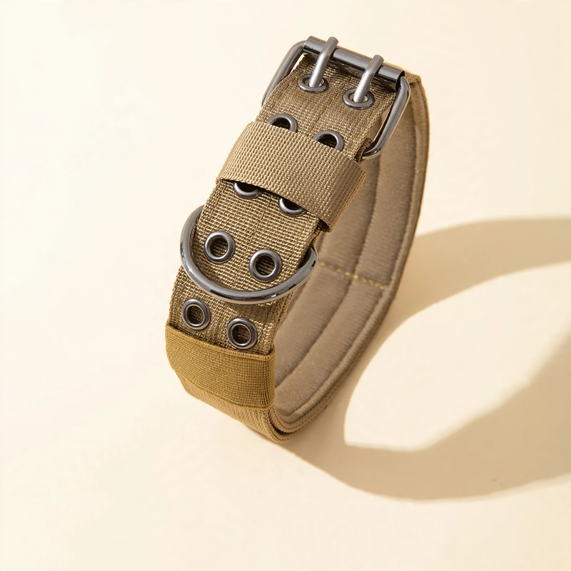 Nylon collar for medium and large dogs