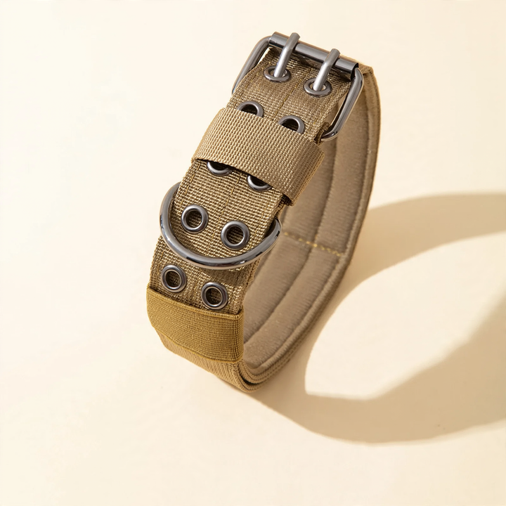 Nylon collar for medium and large dogs