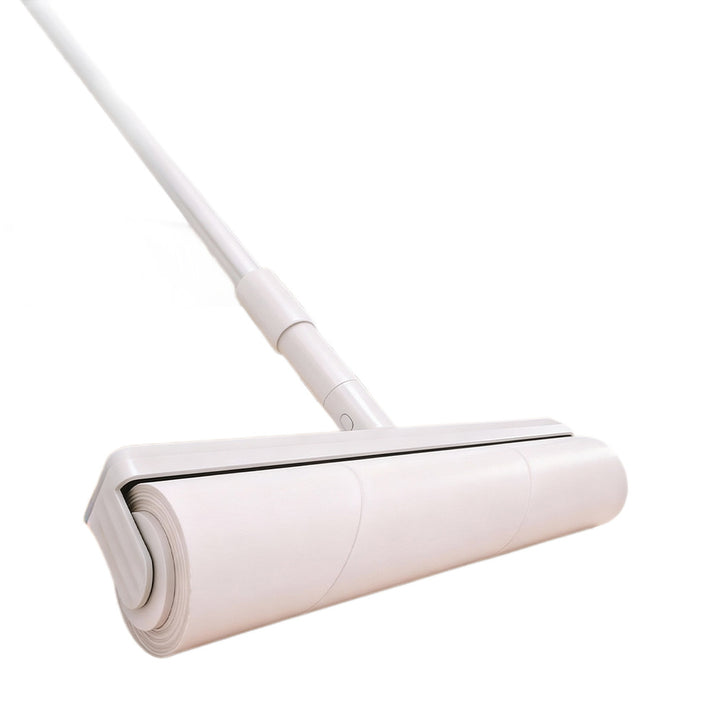 Lint roller with extendable handle