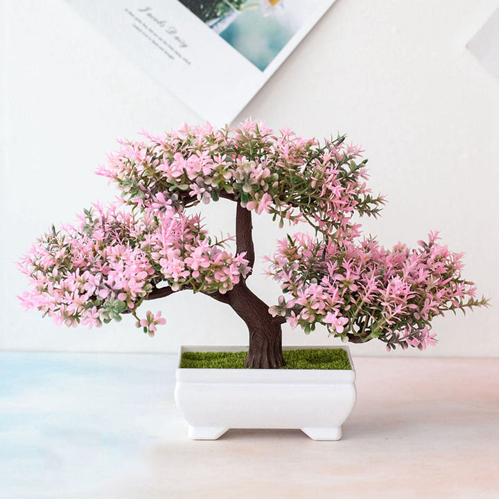 Stornfield | Plant Bonsai