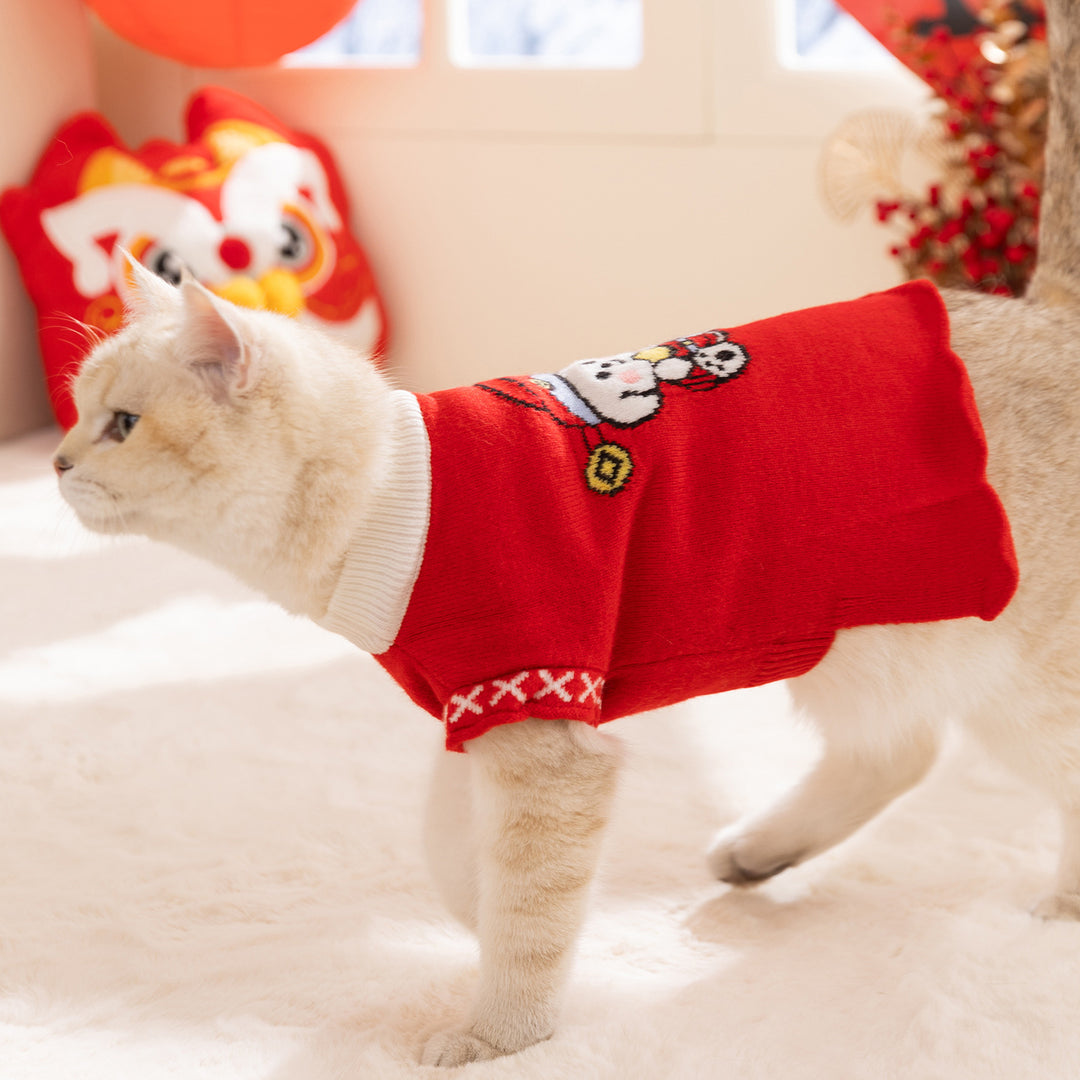 Pet knit sweater, Autumn and Winter