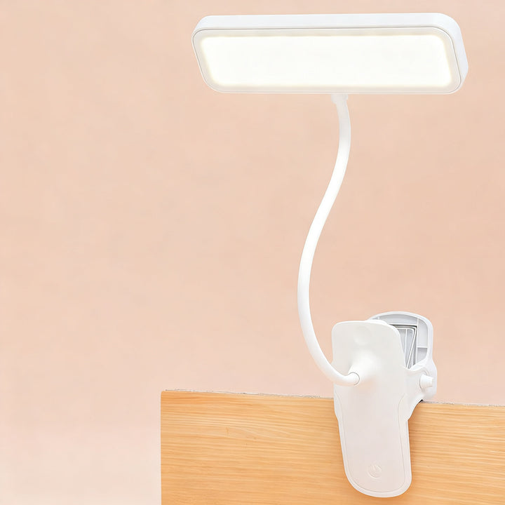 LED clip light with eye protection for learning
