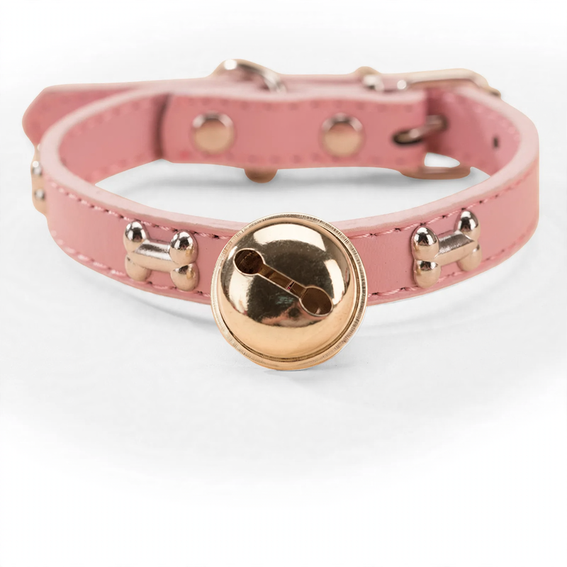 Nylon collar for medium and large dogs