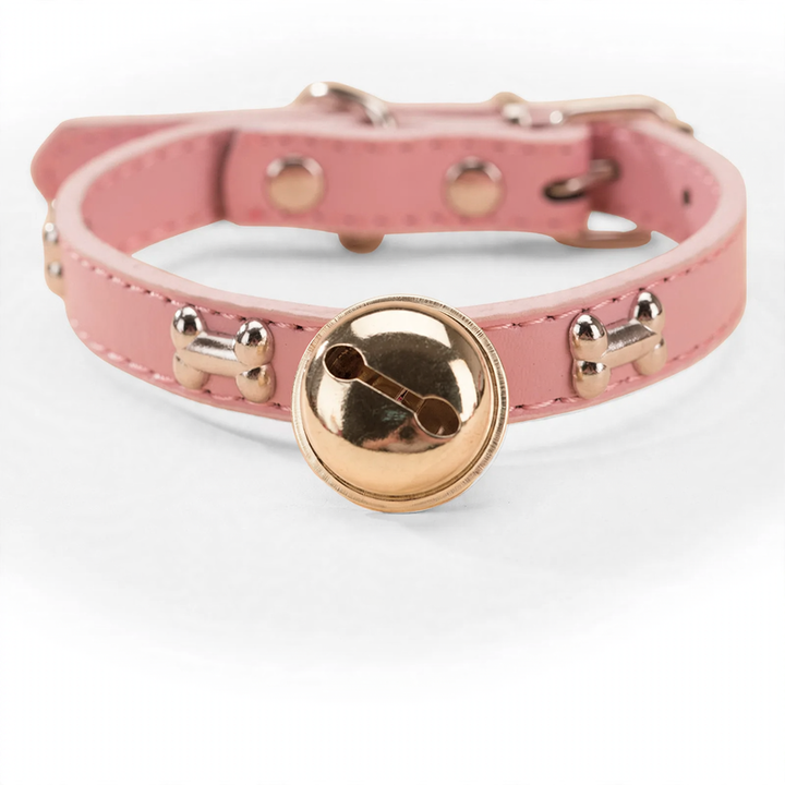 Nylon collar for medium and large dogs