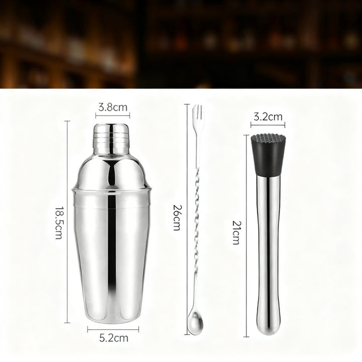 Cocktail Shaker Set with Glass and Accessories