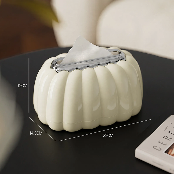 Plastic Tissue Box with Storage, Model DD2547